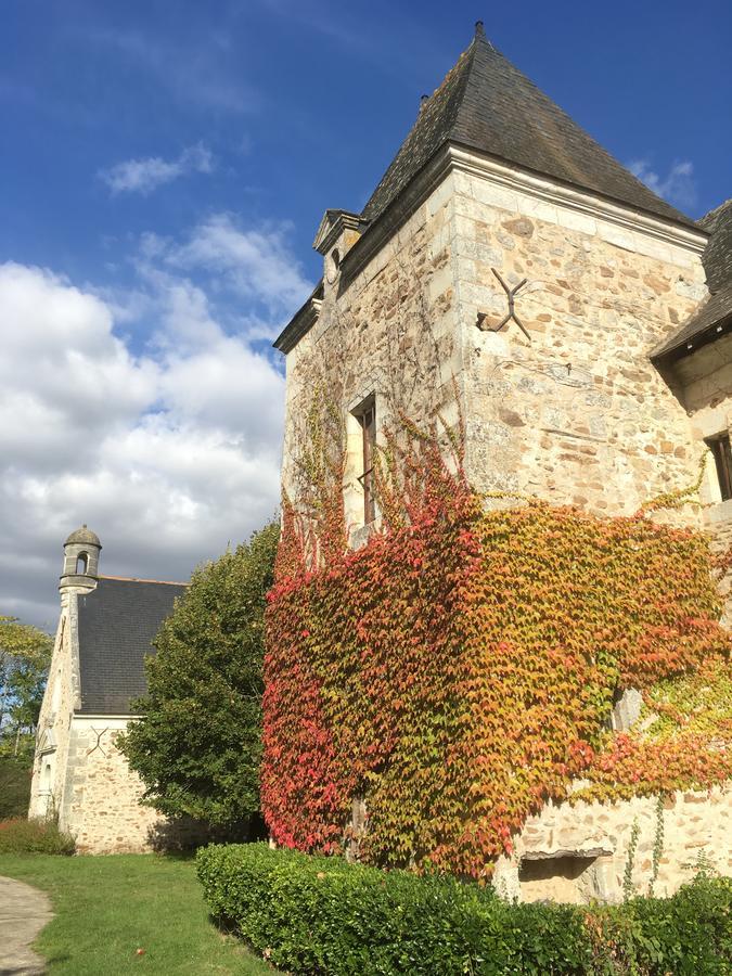 Manoir De Jouralem Panzió Blaison Kültér fotó