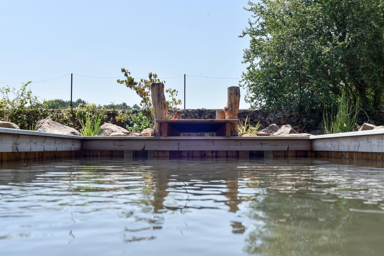 Manoir De Jouralem Panzió Blaison Kültér fotó